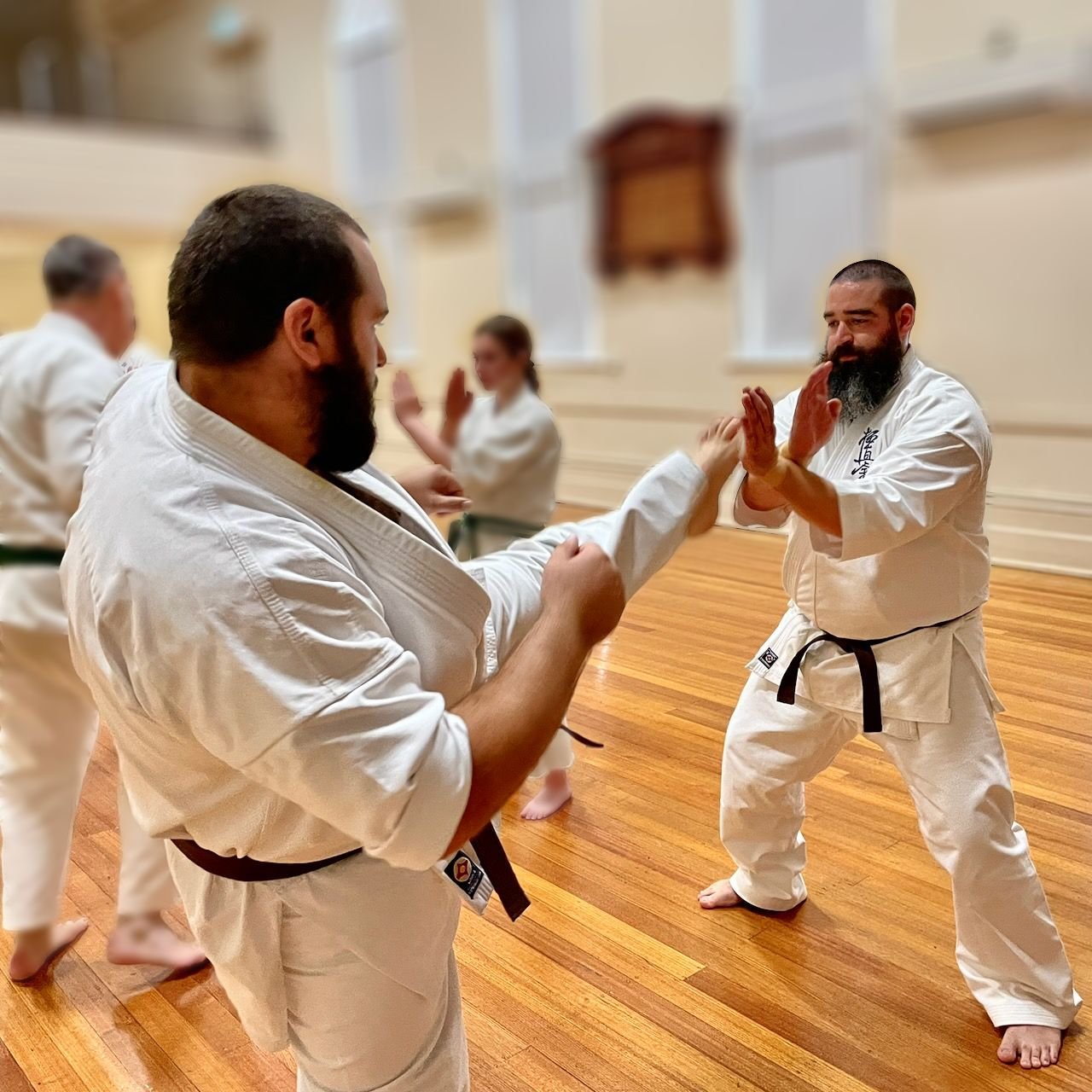 Fighting Practice